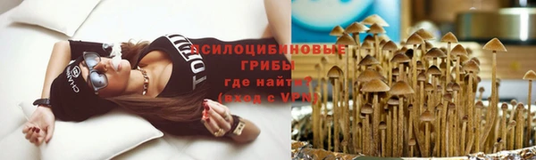 первитин Дмитров