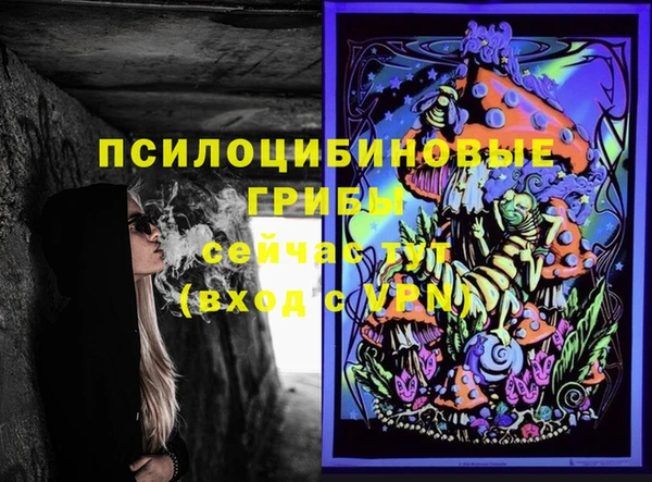 мескалин Дмитриев