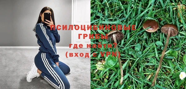 первитин Дмитров