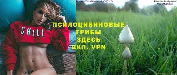 первитин Дмитров