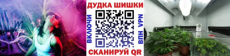 Канабис OG Kush  Купить где  Усолье 